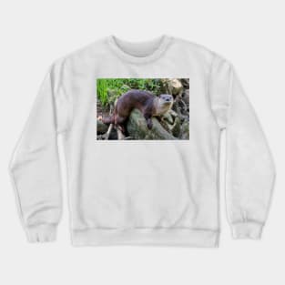 River Otter On A Log Crewneck Sweatshirt